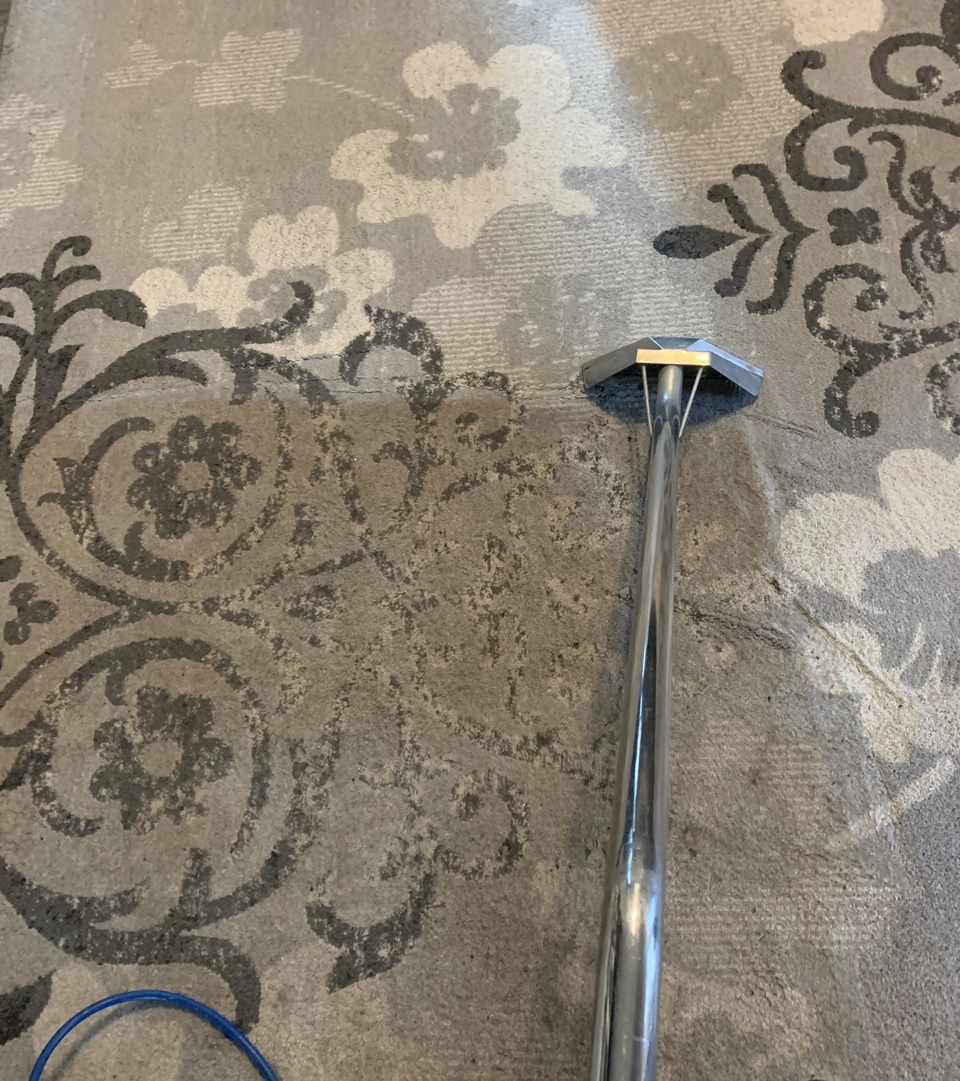 Area rug cleaning