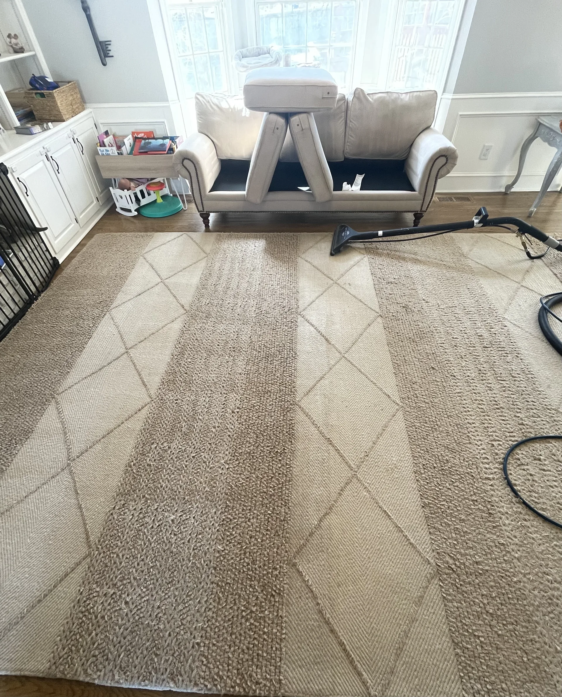 Area rug cleaning in progress