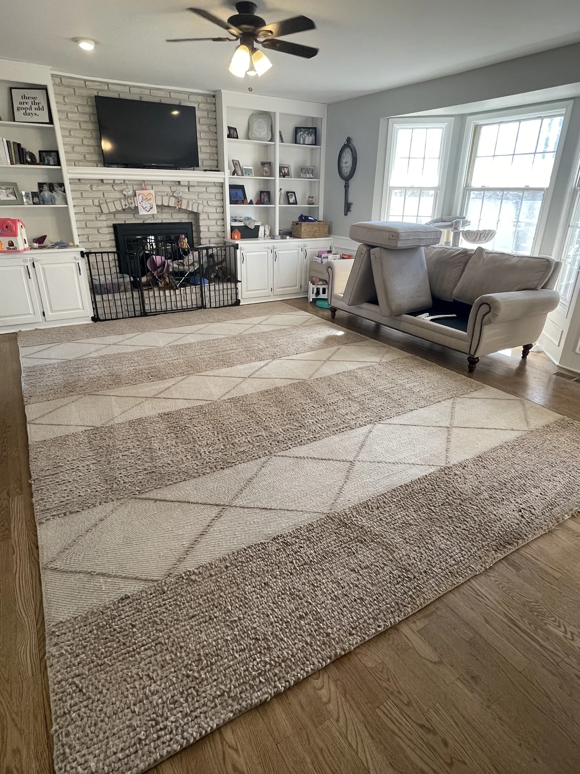 Area rug cleaning living room after