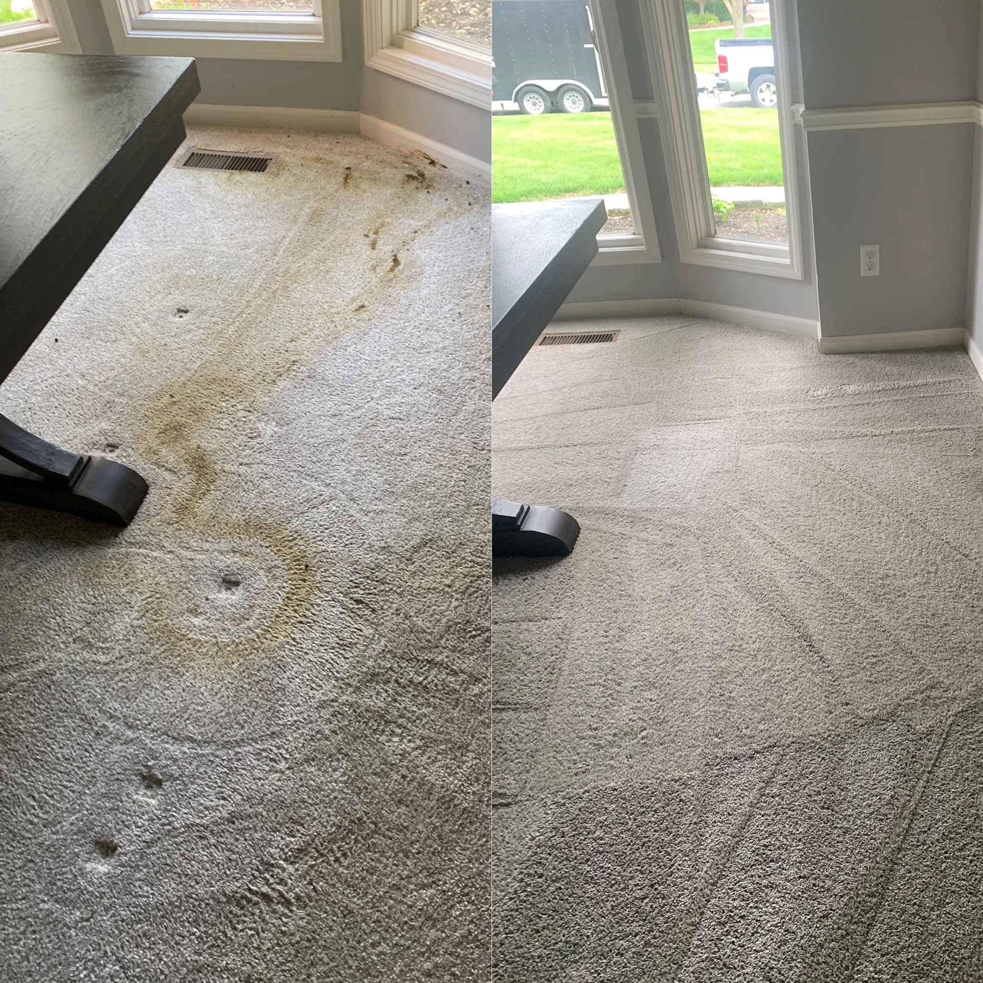 Carpet cleaning — before and after — after