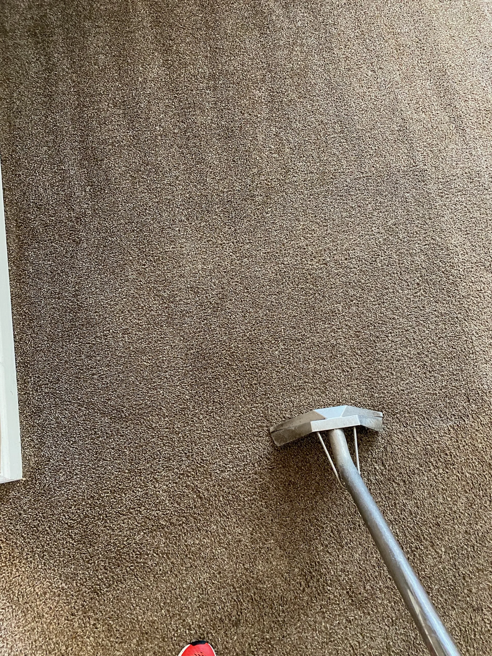 Carpet cleaning
