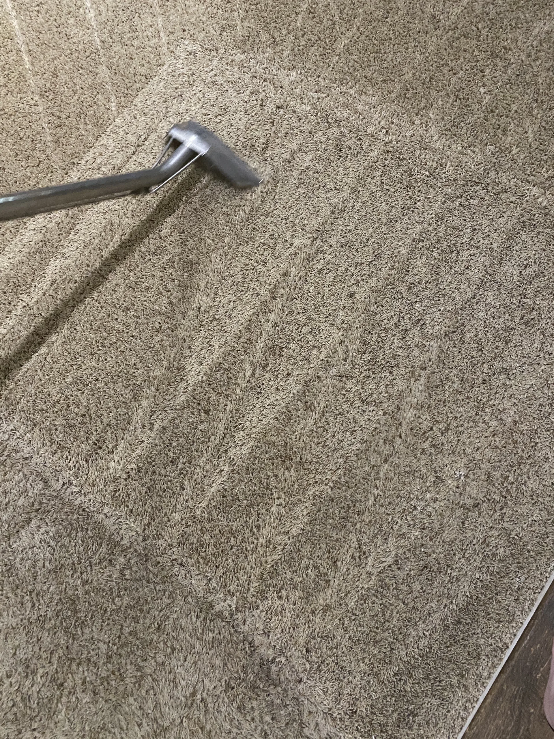 Carpet cleaning