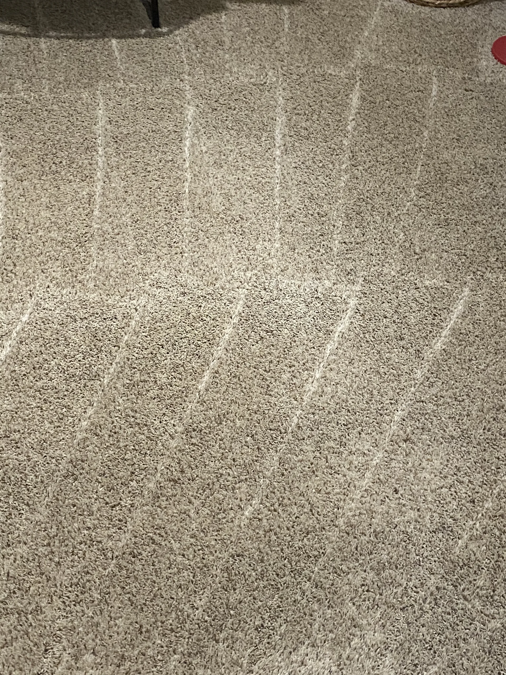 Carpet cleaning