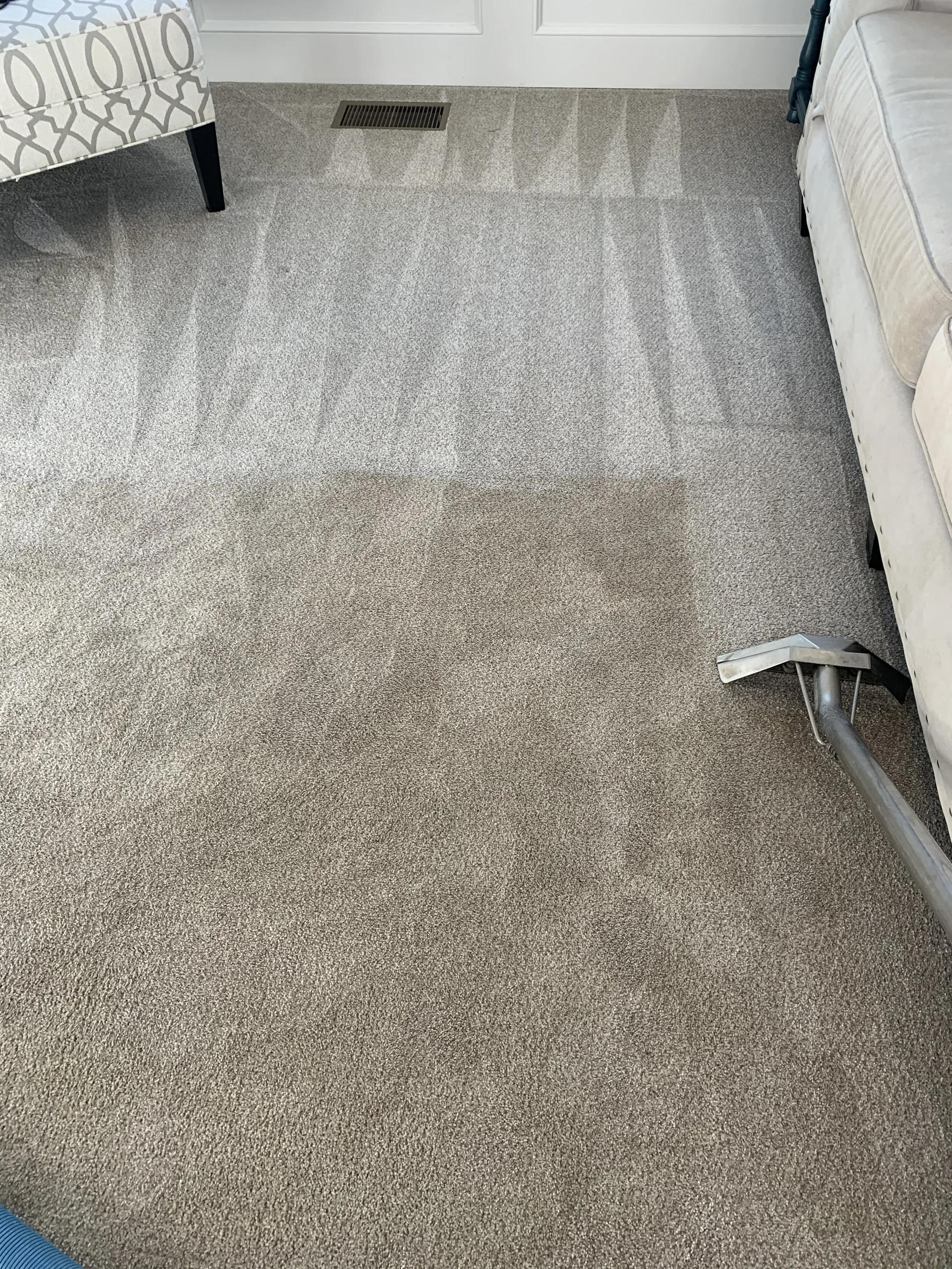 Carpet cleaning in action