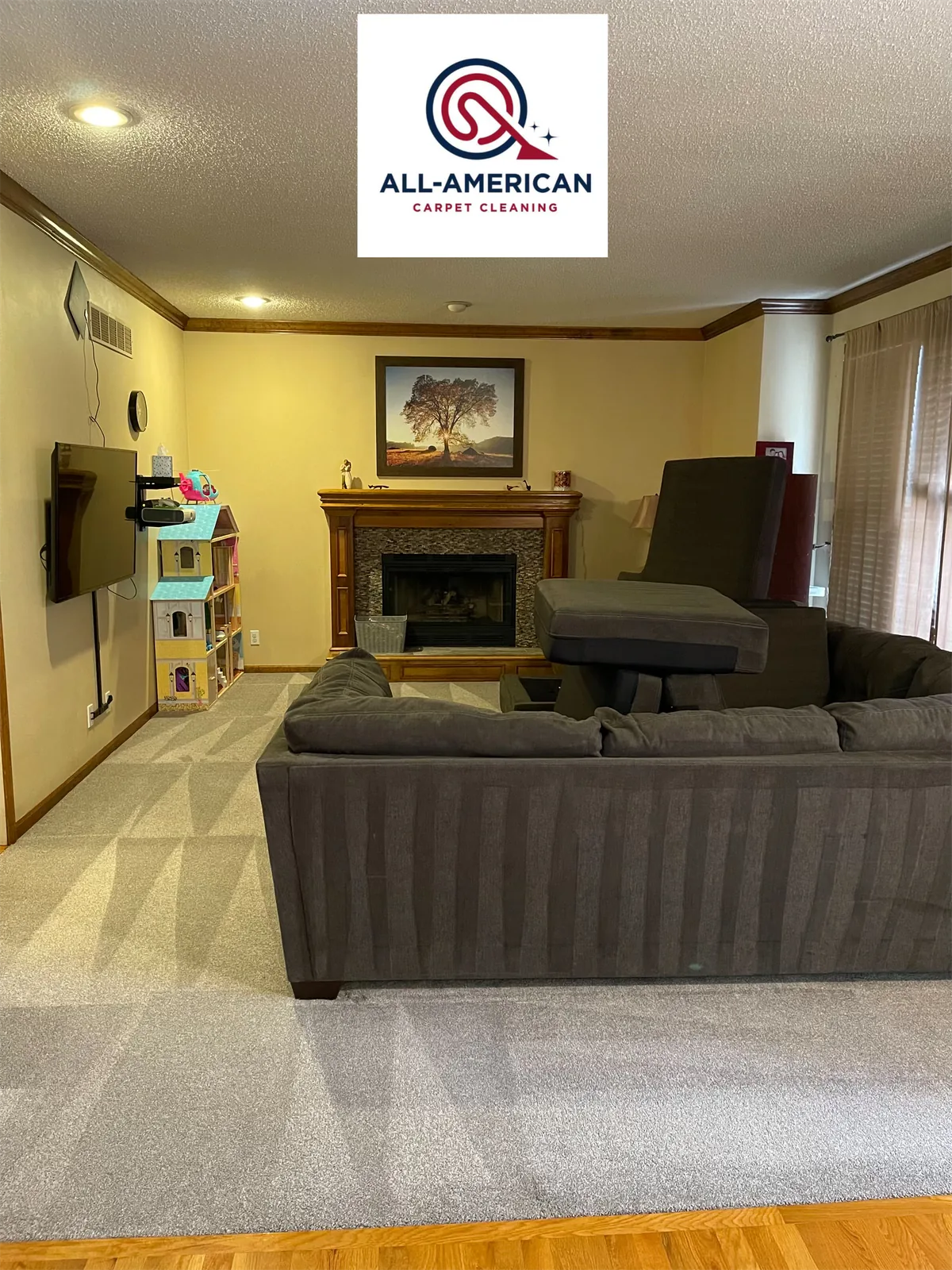 Carpet cleaning living room sectional