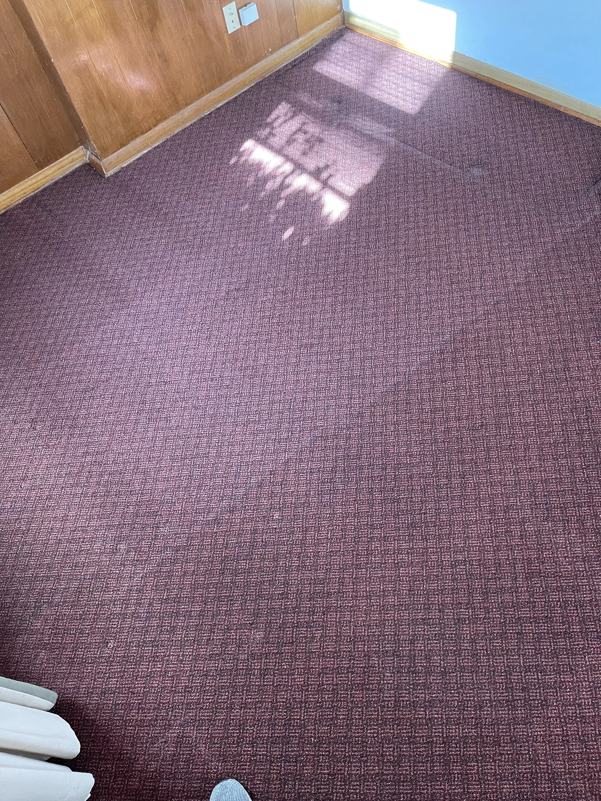 Carpet cleaning maroon bedroom