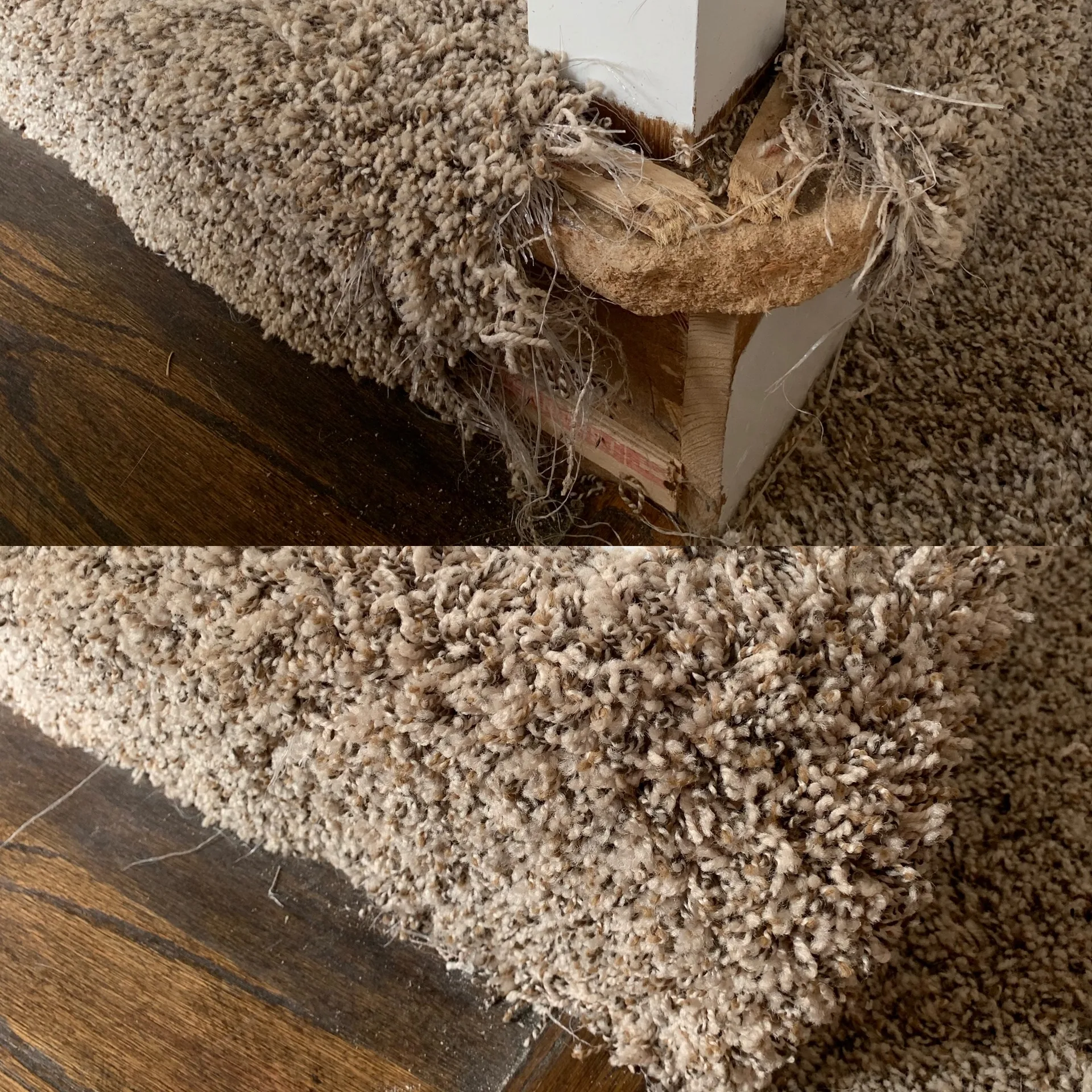 Carpet repair